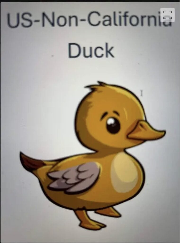 A picture of a duck wit the text "US-Non-California Duck" was included in emails to employees laid off from Stripe.